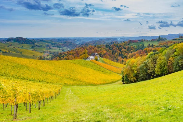 Herbstlandschaft Mit Südsteirischen Weinbergen Bekannt Als Österreichische Toskana Eine Reizvolle — Stockfoto