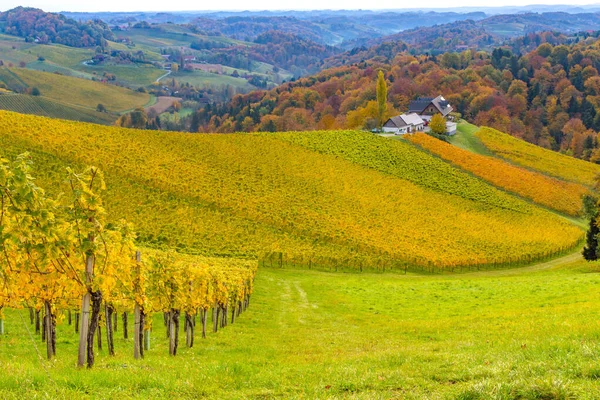Herbstlandschaft Mit Südsteirischen Weinbergen Bekannt Als Österreichische Toskana Eine Reizvolle — Stockfoto