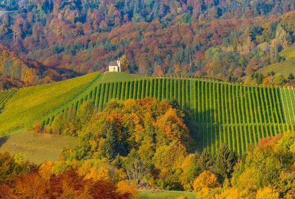 Okouzlující Malý Kostel Jižním Štýrsku Rakouský Toskánsko Slavný Region Hranici — Stock fotografie