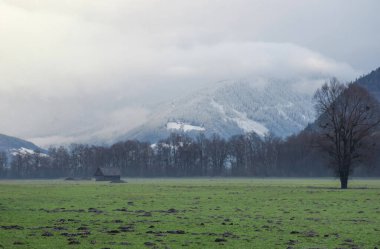 Ennstal, Steiermark, Avusturya 'da arka planda küçük ahşap kulübe ve karlı dağlar