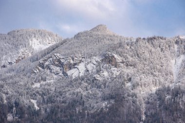 Avusturya 'nın Styria bölgesinde kayalar, karlar ve ağaçlarla kaplı dağ yüzeyinin ayrıntıları