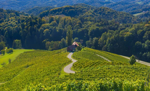 Berühmte Weinstraße Herzform Eine Reizvolle Region Der Grenze Zwischen Österreich — Stockfoto