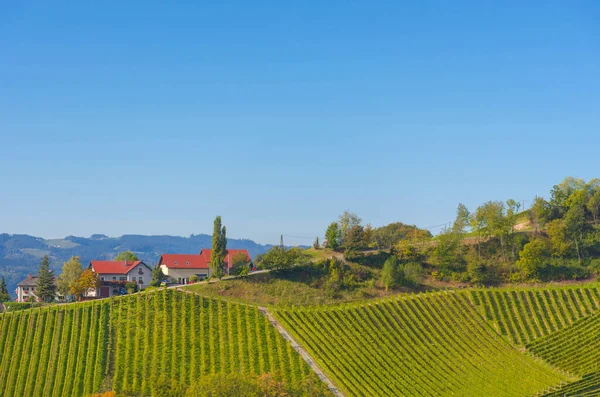 Güney Styrian Şarap Yolu boyunca uzanan üzüm bağları, Avusturya ile Slovenya arasındaki sınırda yeşil kayan tepeler, üzüm bağları, pitoresk köyler ve şarap tavernaları olan büyüleyici bir bölge.