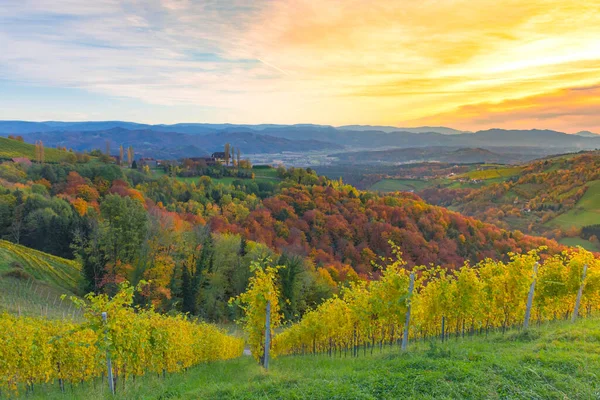 Herbstlandschaft Mit Südsteirischen Weinbergen Bekannt Als Österreichische Toskana Eine Reizvolle — Stockfoto