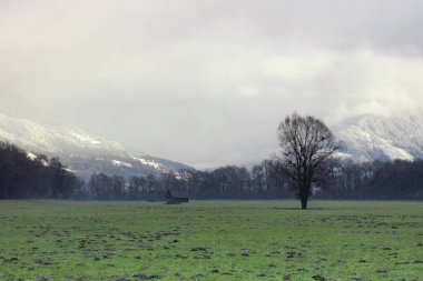 Ennstal, Steiermark, Avusturya 'da arka planda küçük ahşap kulübe ve karlı dağlar