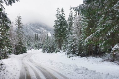 Avusturya 'nın Styria bölgesinde yürüyüş ve yürüyüş için ünlü turistik bölge olan Yeşil Göl (Gruner bakınız) yakınlarındaki karlı dağlarla güzel kış manzarası