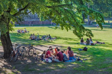 Graz, Avusturya-13 Haziran 2020: Gençler Avusturya 'nın Styria bölgesinde yaz mevsiminde parkta oyun oynuyorlar. Seçici odak.