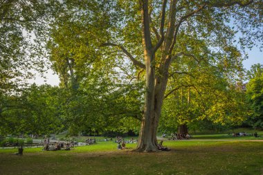 Graz / Avusturya - 18 Haziran 2019: İnsanlar parkta gün batımında, Graz, Styria bölgesinde, Avusturya.