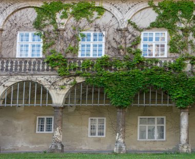 Graz Kalesi avlusunda pencere ve sarmaşık, eski imparatorluk konutu, Graz, Styria bölgesinde, Avusturya
