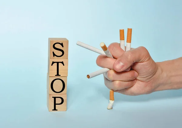 Stop smoking concept, hand holding many cigarettes and STOP text on wooden blocks. World No Tobacco Day on May 31 concept. Selective focus