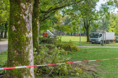 Fırtına hasarı yüzünden parktaki uyarı bandı. Güçlü bir yaz fırtınası ve Avusturya 'nın Graz kentinde esen rüzgârdan sonra devrilen ağaç. Seçici odak