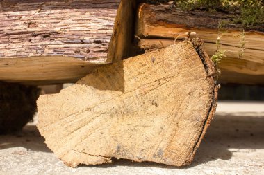 Yangın Çıra için ahşap günlükleri