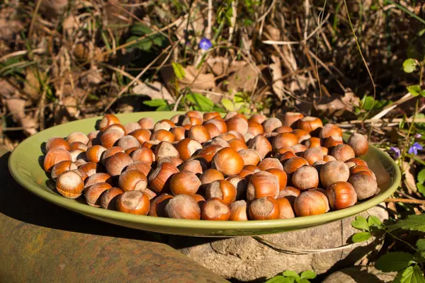 Lískové ořechy na velký talíř zelený — Stock fotografie