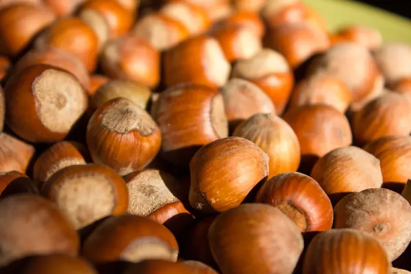 Hazelnoten op een grote groene plaat — Stockfoto