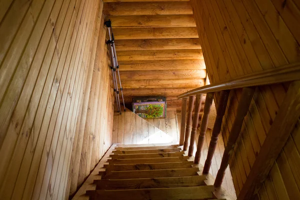 Ahşap merdiven aşağı güneş