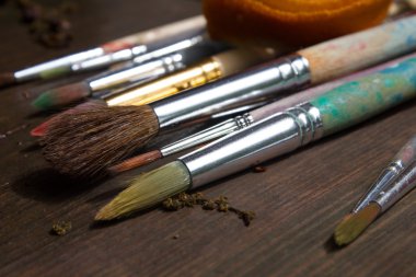 Boya fırçaları güneşte