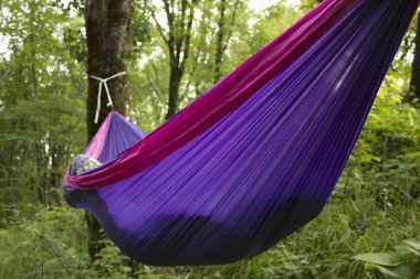 Ormandaki ağaçlar yumuşak hamak