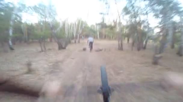 Велосипедист едет через лес — стоковое видео