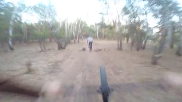 Ciclista passeios pela floresta — Vídeo de Stock