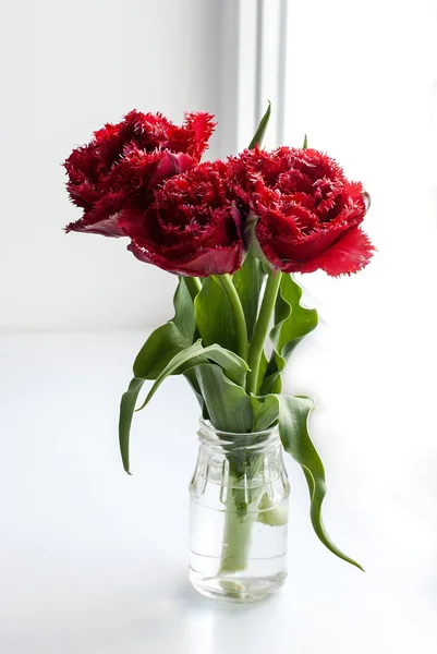 Spring flowers red tulips ina vase — Stock Photo, Image