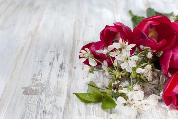 Весенние цветы красные тюльпаны и веточка вишни — стоковое фото