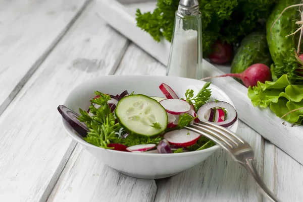 Lente salade van radijsjes, komkommer — Stockfoto