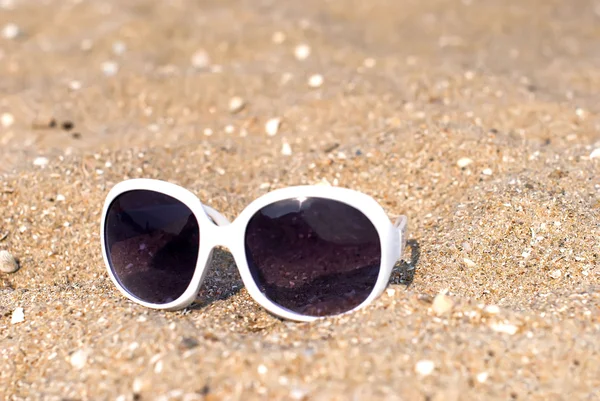 Solbriller på sandet - Stock-foto