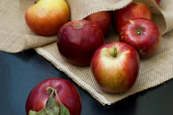 Rote frische Äpfel — Stockfoto