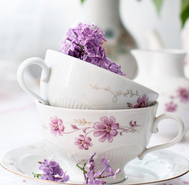 Bir fincan leylak fışkın