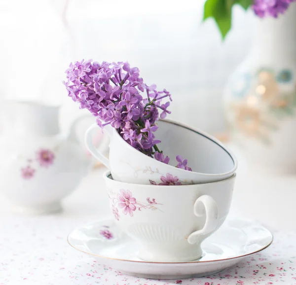 라일락 꽃의 꽃다발 — 스톡 사진