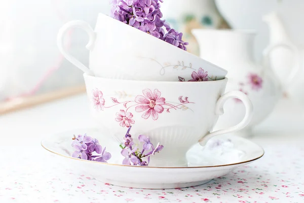 Bir fincan leylak fışkın