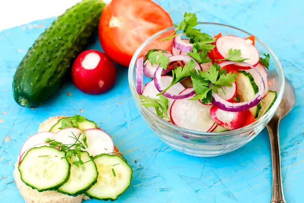 Spring salad with radishes, cucumber, cabbage and onion close-up — Stock Photo, Image