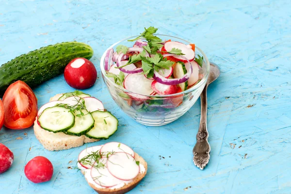 Salada de primavera com rabanetes, pepino, repolho e cebola close-up — Fotografia de Stock