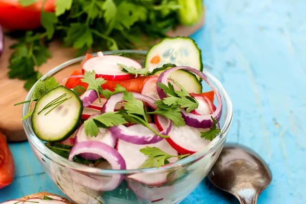 Spring salad with radishes, cucumber, cabbage and onion close-up — Stock Photo, Image