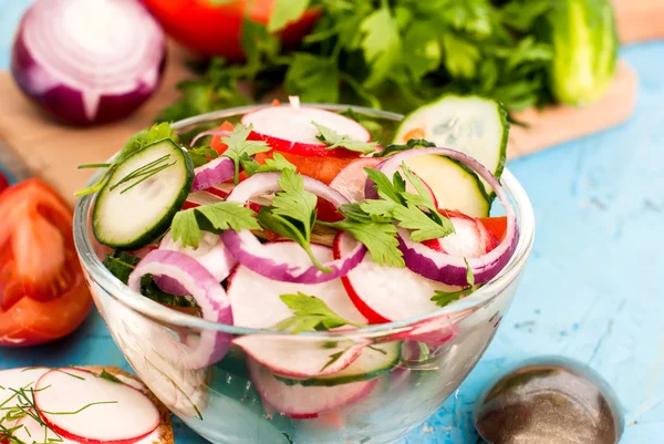 Spring salad with radishes, cucumber, cabbage and onion close-up — Stock Photo, Image