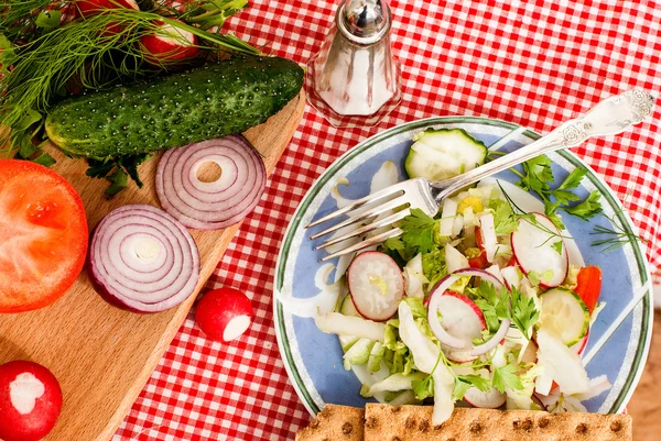 Spring salad with radishes, cucumber, cabbage and onion close-up — Stock Photo, Image