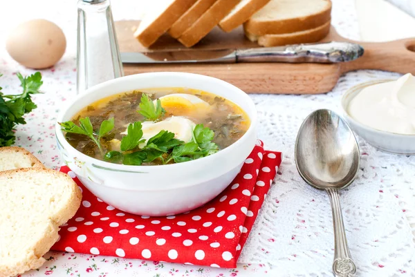 Green sorrel soup with egg in plate — Stock Image Green sorrel soup with egg in plate Royalty Free Stock Images