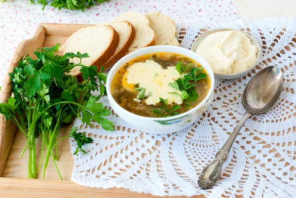 Zielona zupa szczawiowa z jajkiem w tablicy — Zdjęcie stockowe