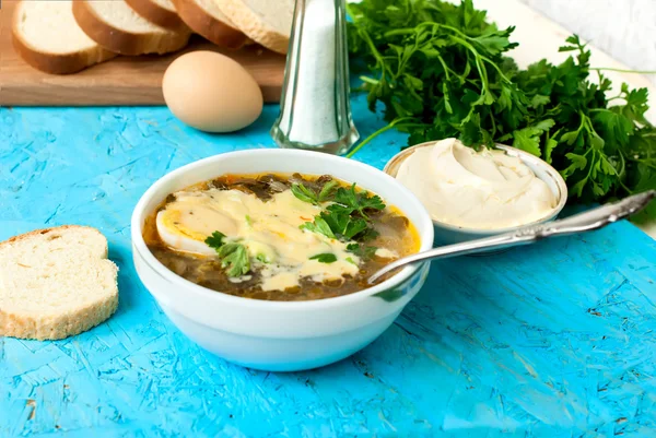 Green sorrel soup with egg in plate — Stock Photo, Image