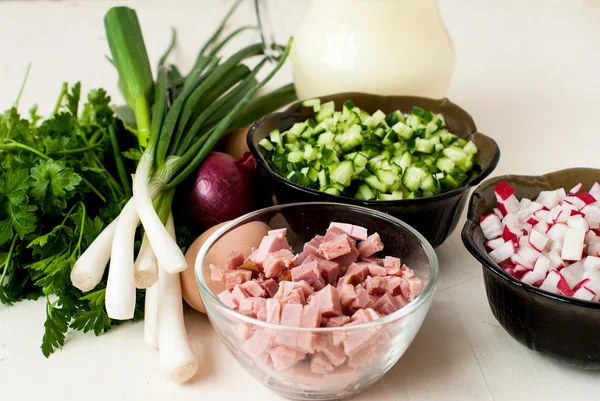 Okroshka.-ingredienser för att göra hash - rädisor, gurka, sa — Stockfoto