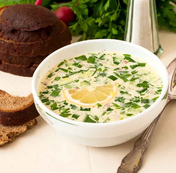 El hachís - la sopa tradicional rusa fría — Foto de Stock