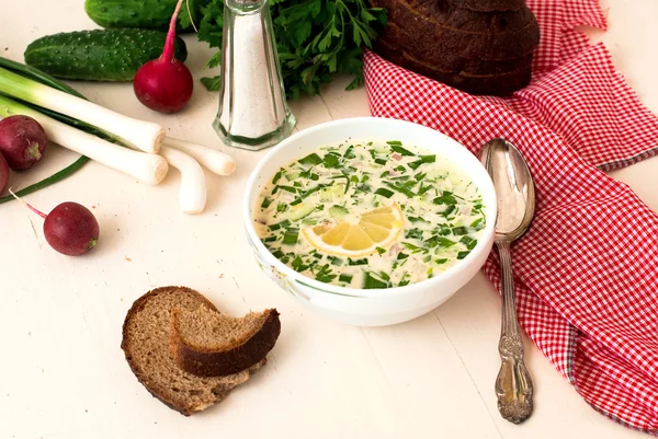 Hash - a traditional Russian cold soup — Stock Photo, Image