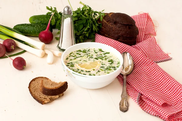 Hash - a traditional Russian cold soup — Stock Photo, Image