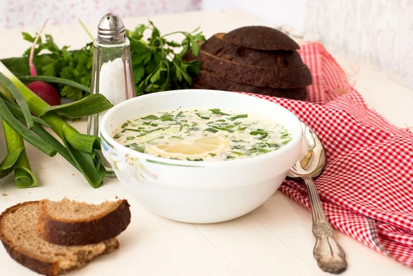 Hash - a traditional Russian cold soup — Stock Photo, Image