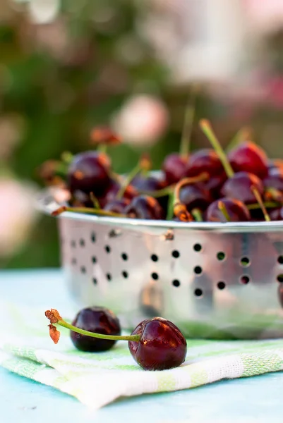 Érett lédús bordó cseresznye egy szűrőedény — Stock Fotó