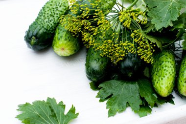 Salatalık Tuzlama için hazırlık