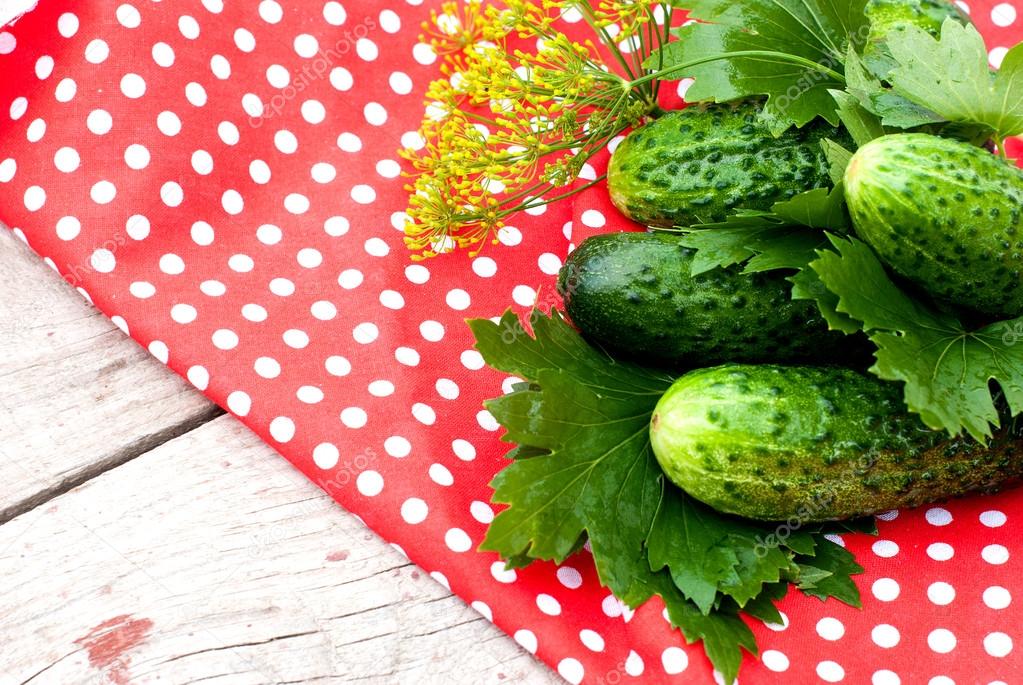 Preparation for salting of cucumbers