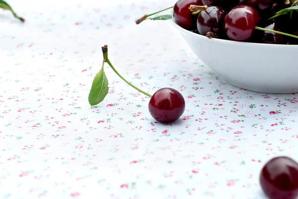 Single cherry and a plate of cherries — 스톡 사진