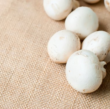 maydanoz ve dereotu ile ham mantar