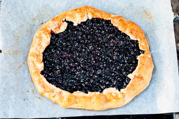 Koekje met zwarte krenten en een kopje koffie — Stockfoto